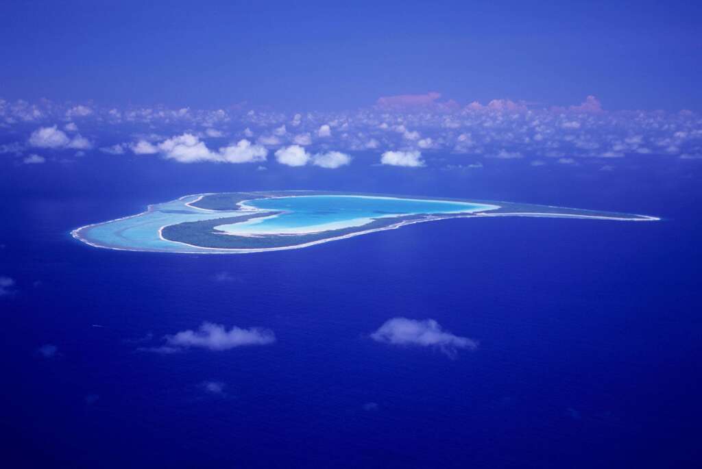 Tupai image